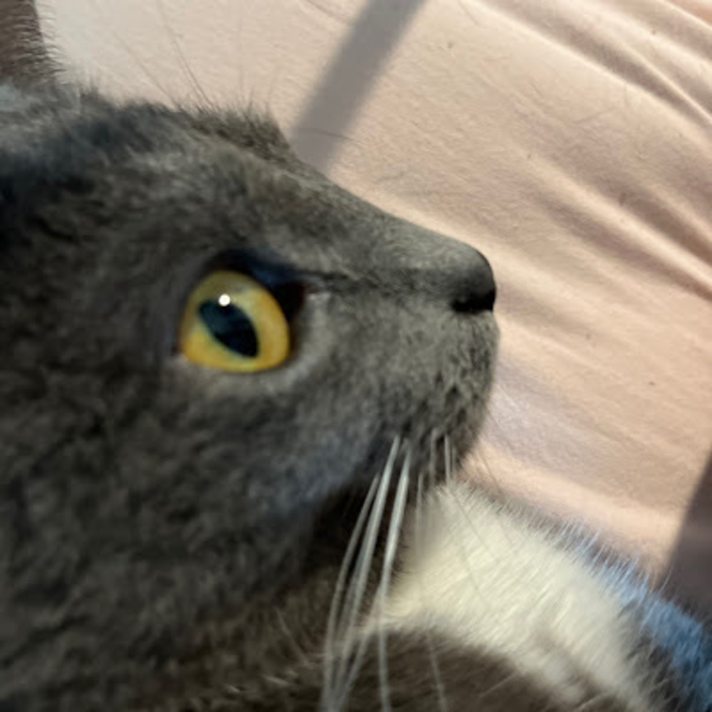 Meet your Posher, Delilah